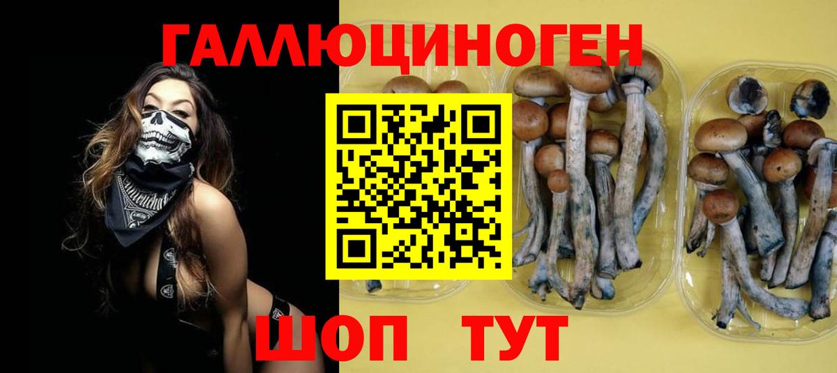 Галлюциногенные грибы GOLDEN TEACHER  Вход с VPN  Уссурийск 